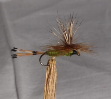 Parachute Oliven #12