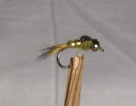 Kulehodenymfe Oliven #12