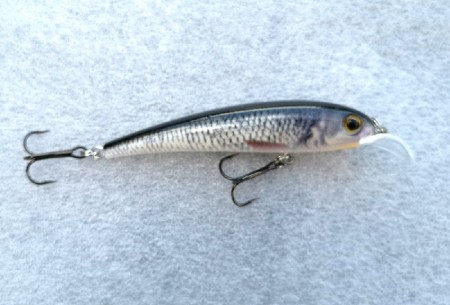 Kinetic Sweeper Natural 70mm - Roach - 5g. - Float