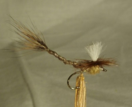 Vulgata Danica #10