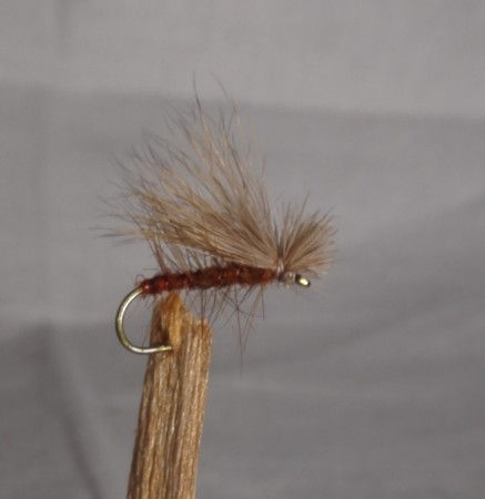 Elkwing Caddies #12