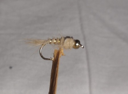 Kulehodenymfe Cream #12