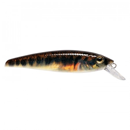 Prey Target Pure Minnow, 85mm, 12g, Suspending