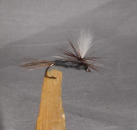 Adams Parachute #12