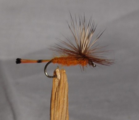 Parachute Oransje #12