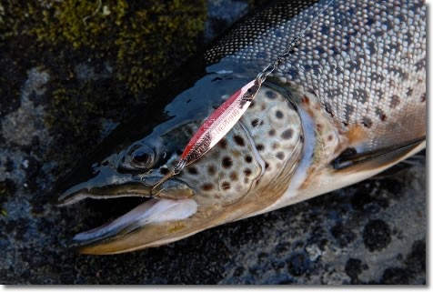 "Allroundstang for kastevekter opp til 25 gram.