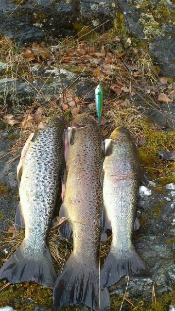 Passer til lettere innsjø / elvefiske